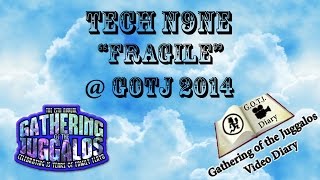 Tech N9ne  Fragile  Live  GOTJ 2014 [upl. by Neala]