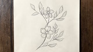 Beautiful pencil drawing of flowers  simple drawing tutorial for beginners [upl. by Weinhardt]