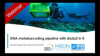 Metabarcoding analysis pipeline with dada2 [upl. by Sinned]