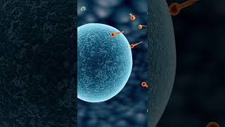 The Use of ICSI in IVF Treatments What You Need to Know Hindi  ART Fertility Clinics [upl. by Eiramoj]