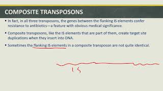 TRANSPOSITION PARTVI COMPOSITE TRANSPOSON [upl. by Camey]