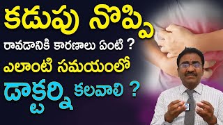 Stomach Pain  Causes and Treatment  కడుపునొప్పి తగ్గే మార్గాలు  Dr Lakshmikanth [upl. by Llerihs]