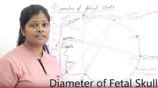 Diameter of Fetal Skull Lecture in Hindi  Types of Diameter  Diameter Measurement of Fetal skull [upl. by Ahsinehs83]