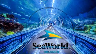 Top Things to Do at SeaWorld Orlando You Can’t Miss [upl. by Caye]