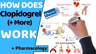 How Does Clopidogrel Antiplatelets Work  Pharmacology [upl. by Xavler]