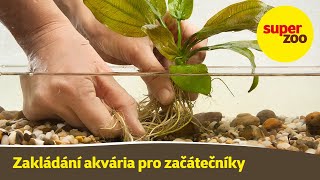 13 díl Zakládání akvária  Škola Super zoo [upl. by Bunow]