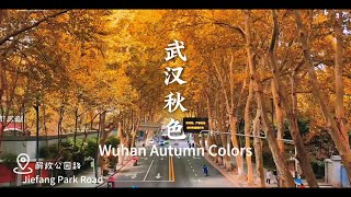 Wuhan Autumn Colors [upl. by Asecnarf]