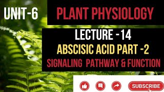 Lecture –14ABA Signaling pathway amp function csirnet msclifesciences msc net csirnetlifescience [upl. by Wershba]