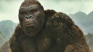 Skull Island Rise of Kong Review [upl. by Gareth]