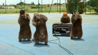 Marmottes de france 3 [upl. by Sutit35]