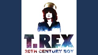 20th Century Boy [upl. by Ferris]