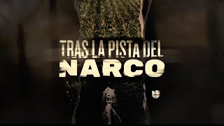 Tras la pista del narco  La serie completa [upl. by Garnette870]