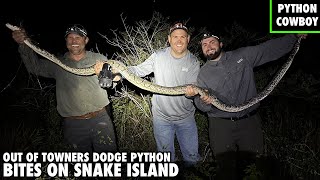 Out Of Towners Dodge Python Bites Hunting On Snake Island [upl. by Gran645]