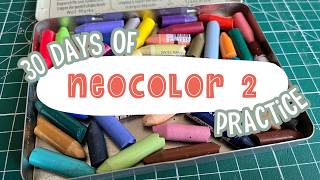 I used Neocolor 2 crayons for a month [upl. by Aniretak]