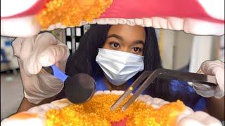 ASMR Getting Something Out Of Your Teeth 🦷 🪥 Dentist Roleplay  Teeth Cleaning ASMR [upl. by Aerdnael995]