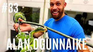 33 ALAN OGUNNAIKE OF AMAZING BASINS  AMAZON BASIN EMERALD TREE BOA  CORALLUS BATESII [upl. by Ahsirat]