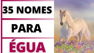 NOMES LINDOS PARA ÉGUA [upl. by Gelman273]