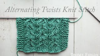 FREE Washcloth Knitting Pattern [upl. by Annoda249]