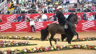 CAMPEONATO CABALLOS TROTE Y GALOPE FERIA DE LAS FLORES GRADO A 2018 [upl. by Releehw673]