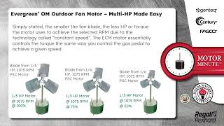 Motor Minute™ Technical Tip Genteq® Evergreen® OMR Motor  MultiHP Made Easy [upl. by Laufer]