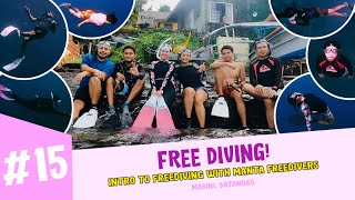 FREE DIVING with Manta Freedivers [upl. by Taima]