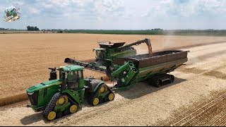 Wheat Harvest 2024 at Crossroad Farms in Indiana [upl. by Nadiya]