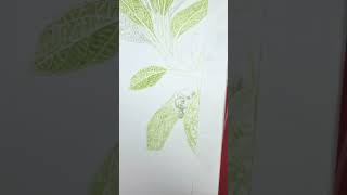 botanical art verbenaceae 51 botanicalart verbenaceae dailylog 보타닉아트 보타닉 예술 [upl. by Lauralee]