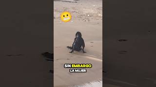 ¡No pudo creer lo que vio en la playa 😱 lostptyer  TT [upl. by Halilad73]