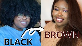 Natural Black To Brown Hair With NO Bleach LOWKEY A FAIL [upl. by Evetta]