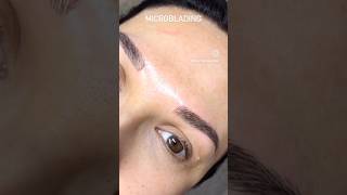 Microblading  Dra Ilse Dalí shorts [upl. by Haddad]