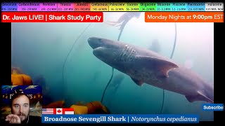 Dr Jaws LIVE 89 Broadnose Sevengill Shark Study Party [upl. by Joann]