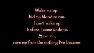 Linkin Park amp Evanescence  Wake Me Up Inside  Music Lyrics HD [upl. by Nilesoy]