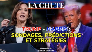 Trump  Harris  sondages prédictions et stratégies  La Chute [upl. by Mich733]