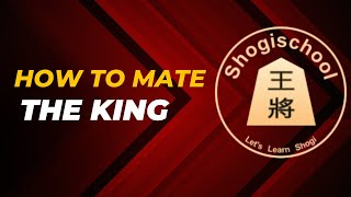 How to mate the king for beginners [upl. by Mechelle]