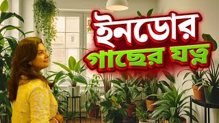 Indoor Plants Care TIPs  Low Light Houseplant  ইনডোর প্ল্যান্টের যত্ন  Bangla Vlog [upl. by Raymond275]