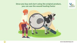 Heal Livestock Wounds Fast with Genuine Topicure Advance ™ [upl. by Dranreb525]