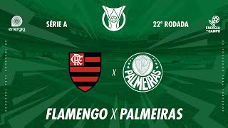 FLAMENGO X PALMEIRAS  11082024  BRASILEIRÃO  AO VIVO [upl. by Wooster]