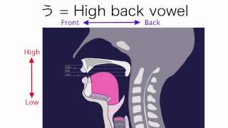 How to Pronounce Japanese Vowels [upl. by Nylatsirhc]