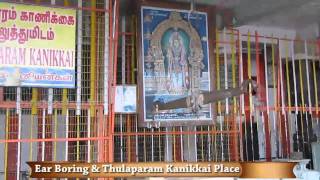 Palani Temple  Ear Boring amp Thulaparam Kanikkai Place [upl. by Odnesor]