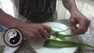 Benefits of eating an Aloe Vera plant and how to [upl. by Friend]