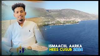 Ismaaciil Aarka Hees cusub Best Song 2024 4k [upl. by Herold815]