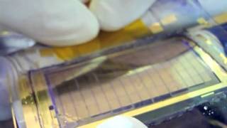 Liquavista shows first prototype of flexible electrowetting displays [upl. by Felipe192]