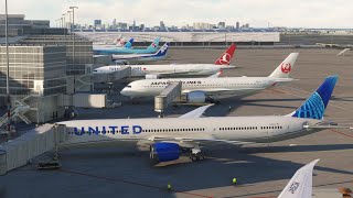 MSFS Livestream United Boeing 78710 SFOHND [upl. by Godspeed]