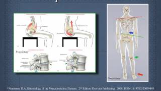 kinetic chain in functional movement and treating joint disorders backkneegaitkineticchain [upl. by Bullough]