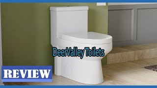 DeerValley Small White One Piece Toilet 2024  Setup And Review [upl. by Irreg277]