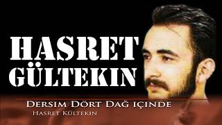 Hasret Gültekin  Dersim Dört Dağ içinde Official [upl. by Rahcir]