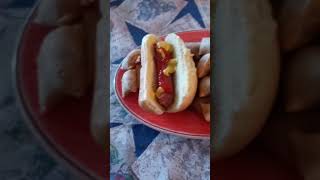 Lunch Hotdogs and Totinos [upl. by Rekab]