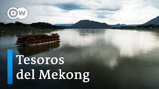 Un viaje de descubrimiento por el Mekong a través de Laos  DW Documental [upl. by Silber]