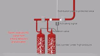 FM 200 Fire Suppression system [upl. by Undine647]