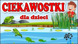 Ciekawostki o zwierzętach dla dzieci 🧒🧒🧒 [upl. by Mcleod]